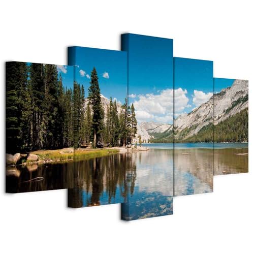 murando - Quadro Fonoassorbente Paesaggio Montano 100x50 cm 5 Pezzi - Canvas - Quadri Acustici Componibili XXL Grandi - Pannelli Fonoassorbenti Decorativi - Insonorizzati Soggiorno 030212-29