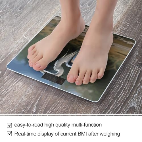 Báscula digital de baño con vidrio templado y pantalla LCD miniatura 5