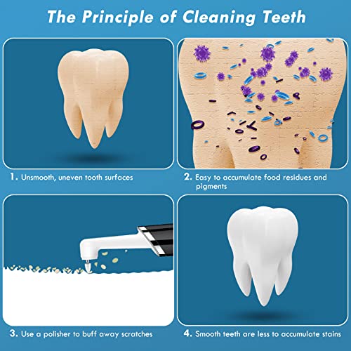 Pelzzle Tooth Polisher, Rechargeable Tooth Cleansing Package for Each