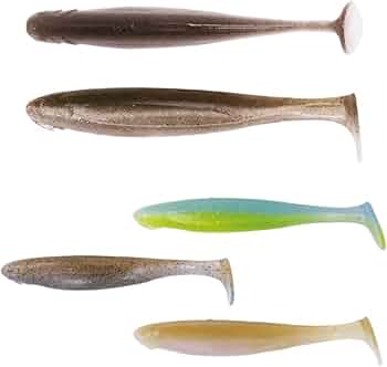 51Xr3wx-zPL._AC_UF350,