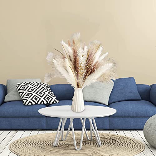 Ramo de 75 piezas de pasto pampas natural seco decorativo miniatura 3