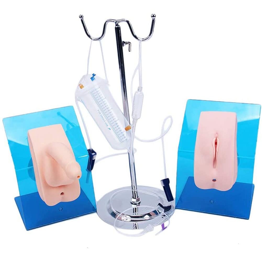 Modèle éducatif, cathétérisme urétral féminin et Masculin, modèle médical, Mannequin d'enseignement des Soins de Base, Simulation, Aide à la Formation médicale, modèle Anatomique 2