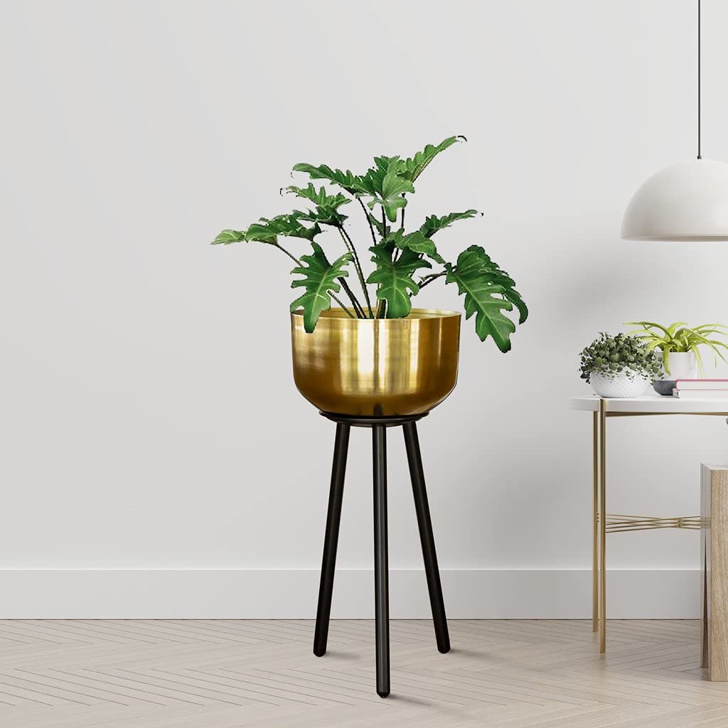 TrustBasket Marcel Metal Plant Container (Gold) | Heavy Duty High Durable Floor Pot with Stand for Living Room, Indoor/Outdoor Balcony Home Decor (B098P5DRL9) Amazon Price History, Amazon Price Tracker
