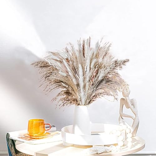 Pampasgras Getrocknet, 80pcs Natürliche Pampasgras Dekor, Boho Wohnzimmer Dekoration, Blumen Arrangements Heim Decor Cover