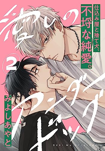 愛しのアンダードッグ(2) (アメイロ)