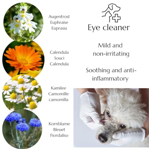 green idea Augentrost - Euphrasia Augenpflege für Hunde - AUGENTROPFEN mit Borsäure - Augenreiniger für Hunde - lindern Augenjucken und Reizungen - Sichere und schonende Augenpflege 50 ml
