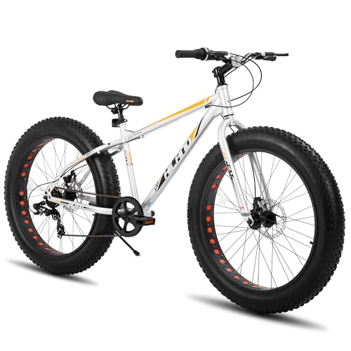 HH HILAND 26 Inch Fat Tire Mountain Bike for Men and Women, High Carbon Steel Frame Beach and Snow Wide Tire Adult Bicycle, 7-Speed and Dual-Disc Brake MTB Sliver