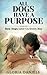 All Dogs Have a Purpose: How Dogs Love us Every Day (Exploring the Animal Kingdom Book 1)