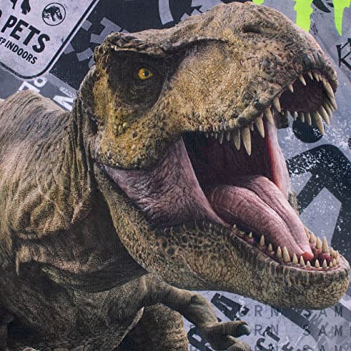 Jurassic World Boys Dinosaur Pyjamas Kids T-Rex Pyjama Set Short Sleeve3