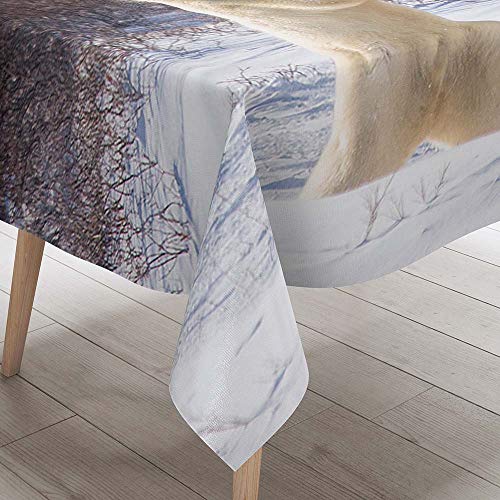 Nappe Rectangulaire Nappe de Table, Morbuy 3D Imperméable étanche à l'huile Lavable et Facile d?Entretien Table Nappe pour Jardin Extérieure Picnic Cuisine (Frère Ours,140x140cm)