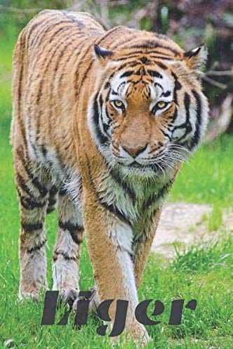 Liger: Animal Notebook for Kids and Adults, Journal, Notes, Diary Drawing and Writing, Poetry(110 Pages, Lined, 6 x 9)