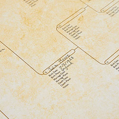 Okuna Outpost CHGYI 15 Pack Family Tree Charts To Fill In - Blank 8 Generation Genealogy Poster thumb #6