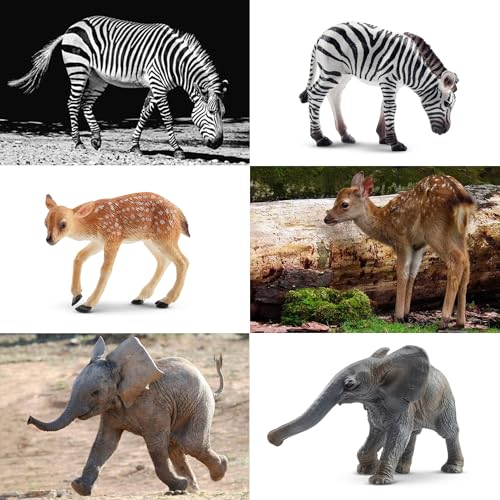 TOYMANY 12 Stück Wald Tiere-Figuren Set Wild Spielfiguren Dschungel Spielzeug Dschungeltiere Baby Figur Plastiktiere Zoo, Osterei, Kuchendeckel Weihnachtsgeburtstagsgeschenk für Kinder