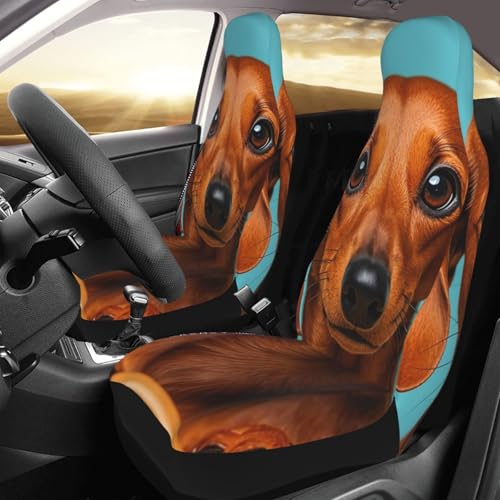 Housses de siège de voiture confortables pour protéger vos sièges auto des chiens