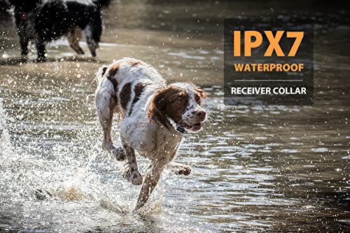 Patpet Dog Shock Collar With Remote 3/4 Mile Range Dog Training Collar Include Rechargeable Waterproof E Collar, Outdoor Training Shock Collar For Large Dogs Camouflage (15-140 Lbs) #TOP1