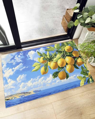Indoor Doormat Summer Ocean Lemon Fruit Tree,Shaggy Floor Mat with Non-Skid Backing Blue Sky Sea Surface Landscape,Machine Washable Plush Area Rug Carpets for Kitchen Nursery Bedroom