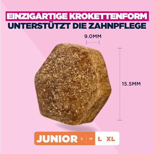 Eukanuba Junior Hundefutter Trocken mit frischem Huhn für große Rassen, Premium Trockenfutter für heranwachsende Hunde, 15 kg