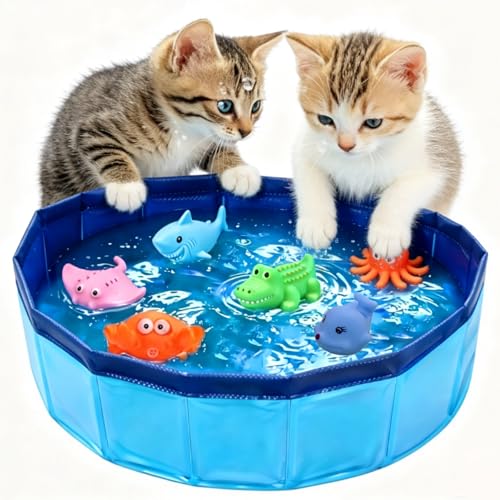 Katzen Pool 50x10cm Faltbarer Pool Katzenspielzeug mit 6 Schwimmspielzeug Mini Pool für Katzen Hunde Tragbares Swimmingpool Hundepool Klein für Sommer