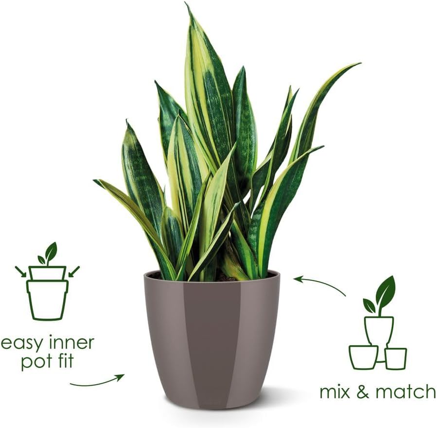 Elho Brussels Diamond Round 30cm Lovely Red