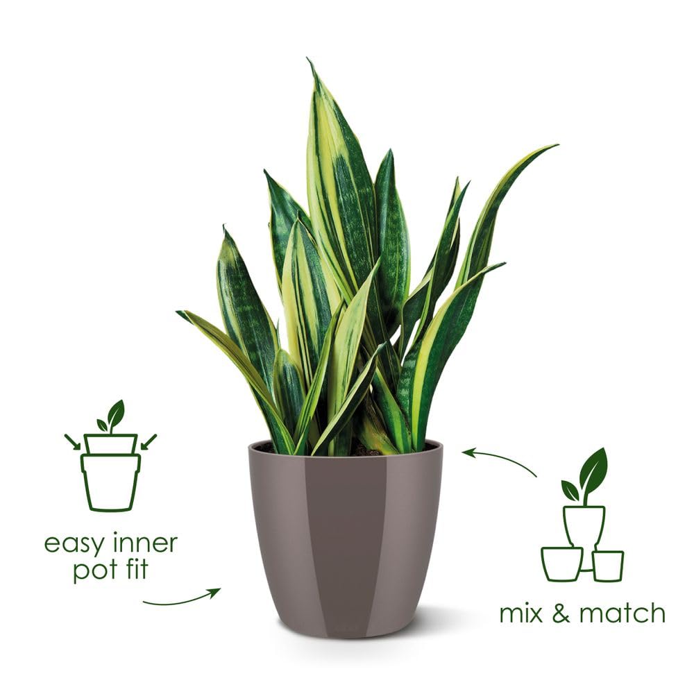 Elho Brussels Diamond Round 20 - Macetero por Interior - Ø 20.0 x H 18.6 cm - Blanco/White - 3