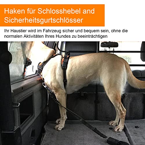 Hunde Sicherheitsgurt, 2 Stück Verstellbar Sicherheitsgurt Hunde für Auto, 3-in-1 Reflektierend Bungee Hundegurt fürs Auto mit Haken Anschnallgurt Hund Auto für Alle Hunderassen & Autotypen (Schwarz)