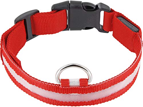 HAVA Collier de sécurité Universel à LED pour Chien avec 3 Modes Taille L 45-52 cm