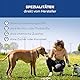 Tiernahrung Schwenner - Kurze Rinderkopfhaut für Hunde getrocknet – Dog Snacks – Hunde Zahnpflege – 1000g 8-18 cm