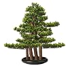 Künstlicher Bonsai-Baum im chinesischen Stil künstlicher Bonsai-Baum Simulation Willkommen Kiefer Bonsai Pflanzen Indoor Topfpflanzen Dekoration Ornamente Home Office Veranda Dekor