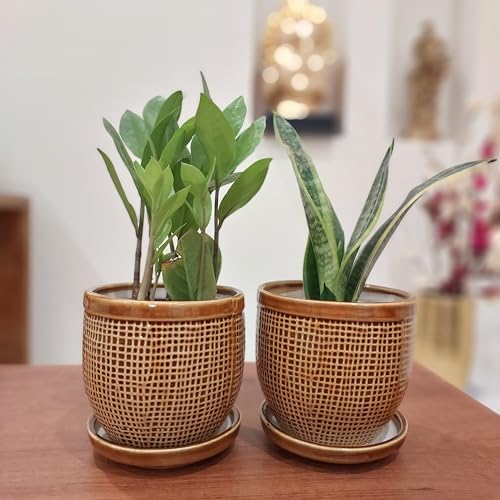 Image of Plant Pot with Tray /Plate for Small Plants, Bonsai, Succulents, Cactus | Planter for Living Room (Brown, 1 Flower Pot Ceramic)(5 inches Pot for Home Decoration)