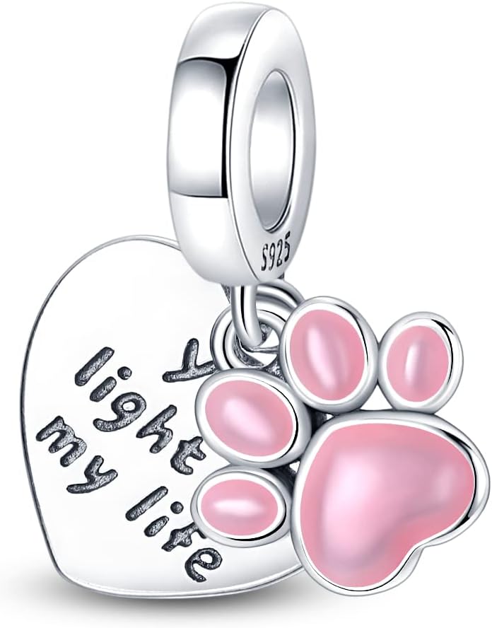 Pandach 925 Sterling Silver Charms for Bracelets and Necklaces Travel Round The World Beads Charms Relaxation Dangle Pendant,Jewelry Beads Gifts for Women