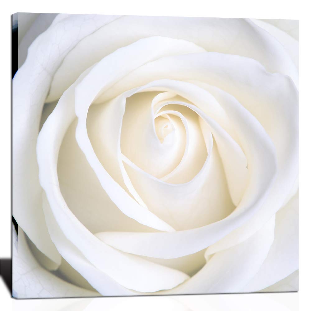 Nachic Wall Modern Flower Canvas Wall Art Pure White Rose 