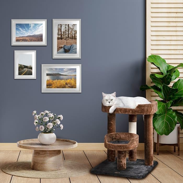 review Go Pet Club 23