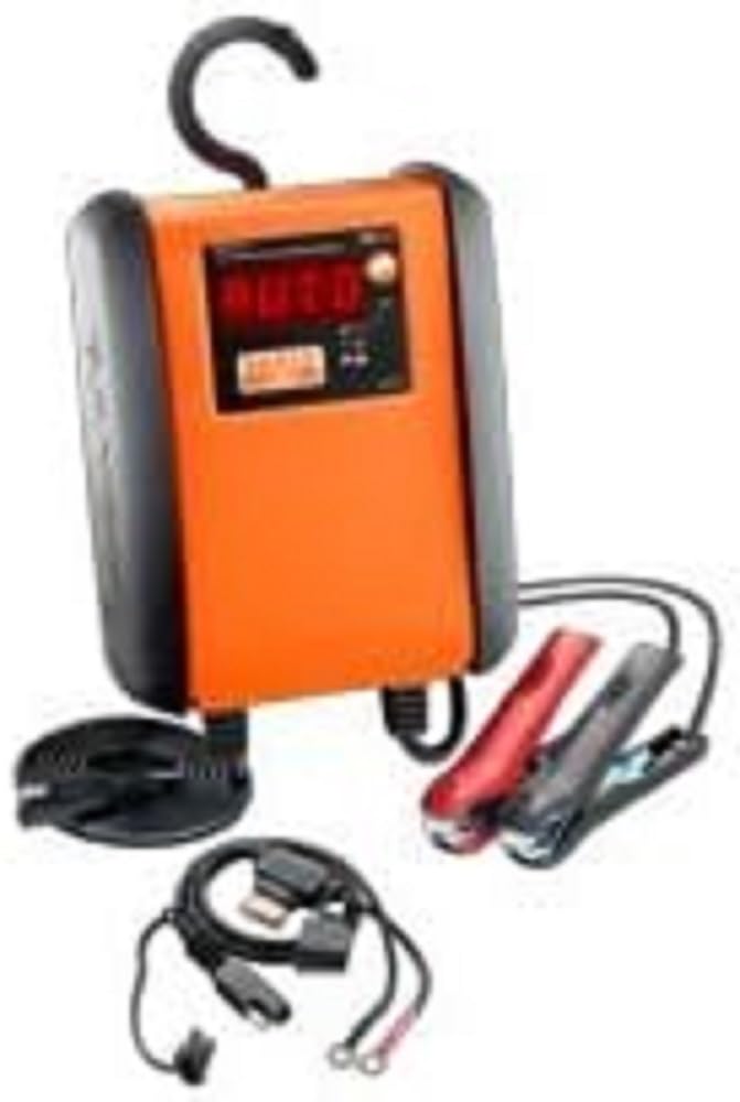 Cargador Baterías Eléct 12V-6A