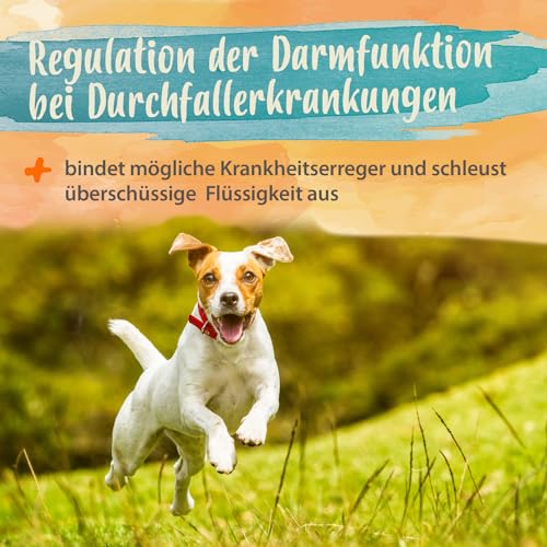 Ida Plus Diar-Stopp Tabs - Kautabletten gegen Hunde-Durchfall - Durchfallmittel - Hund-Darmflora aufbauen mit Probiotika - Darmsanierung - Stoppt Durchfall - 120 Tabletten
