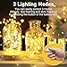 btfarm 12 Stück/3 Modi LED Lichterkette Batterie Klein, 2M 20LED Lichterkette mit Batterie, Mini Lichterketten Batteriebetrieben für Party, Weihnachten, DIY, Hochzeit, Innen Deko (Warm Weiß)
