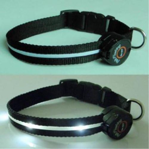 Dog Collar with White LED Lights, Multi-Function, Large