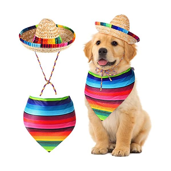 Dog sombrero hat multicolor sombrero hats straw mexican hat and dog bandana pet triangle bib costume for mexican cinco de mayo fiesta decorations