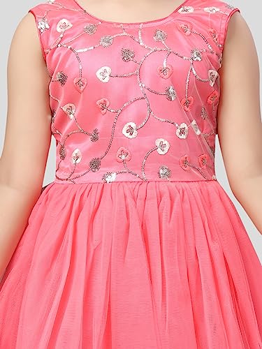 Image of Aarika Girls Gajri Color Net Frock