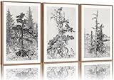 SIGNINART Vintage Tree Framed Wall Art Set , Black and White Antique Sketchbook Forest Painting, Wilderness Illustration Art Print , Retro Pine Tree Landscape Drawing Wall Decor for Living Room, Bedroom, Office (16'x24'x3)