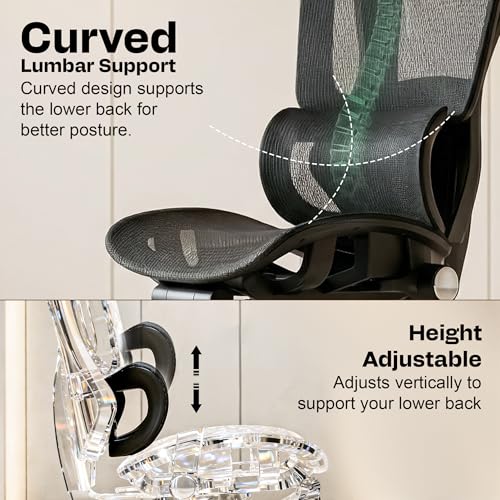 Image of DROGO Magnus Ergonomic Office Chair for Work from Home, Computer Chair with 7D Armrest, Headrest, Curved Lumbar Support, Adjustable Back & Sliding Seat | 130 Recline, Footrest & Aluminium Base(Black)