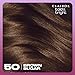Clairol Bold & Bright Permanent Hair Dye, 50 Brown Sugar Hair Color, Pack of 1