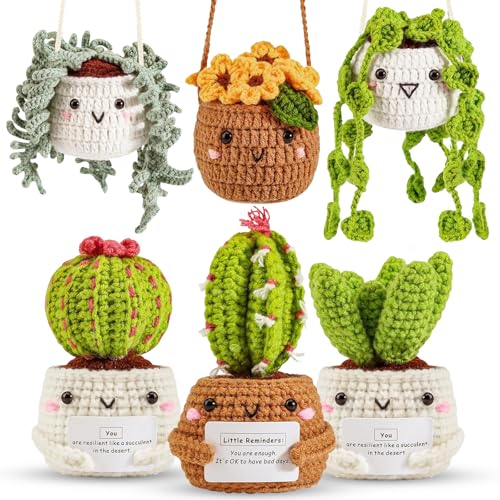 ASTNIC Crochet Kit for Beginners 6Pcs Hanging Potted Plants Crochet Starter Kit