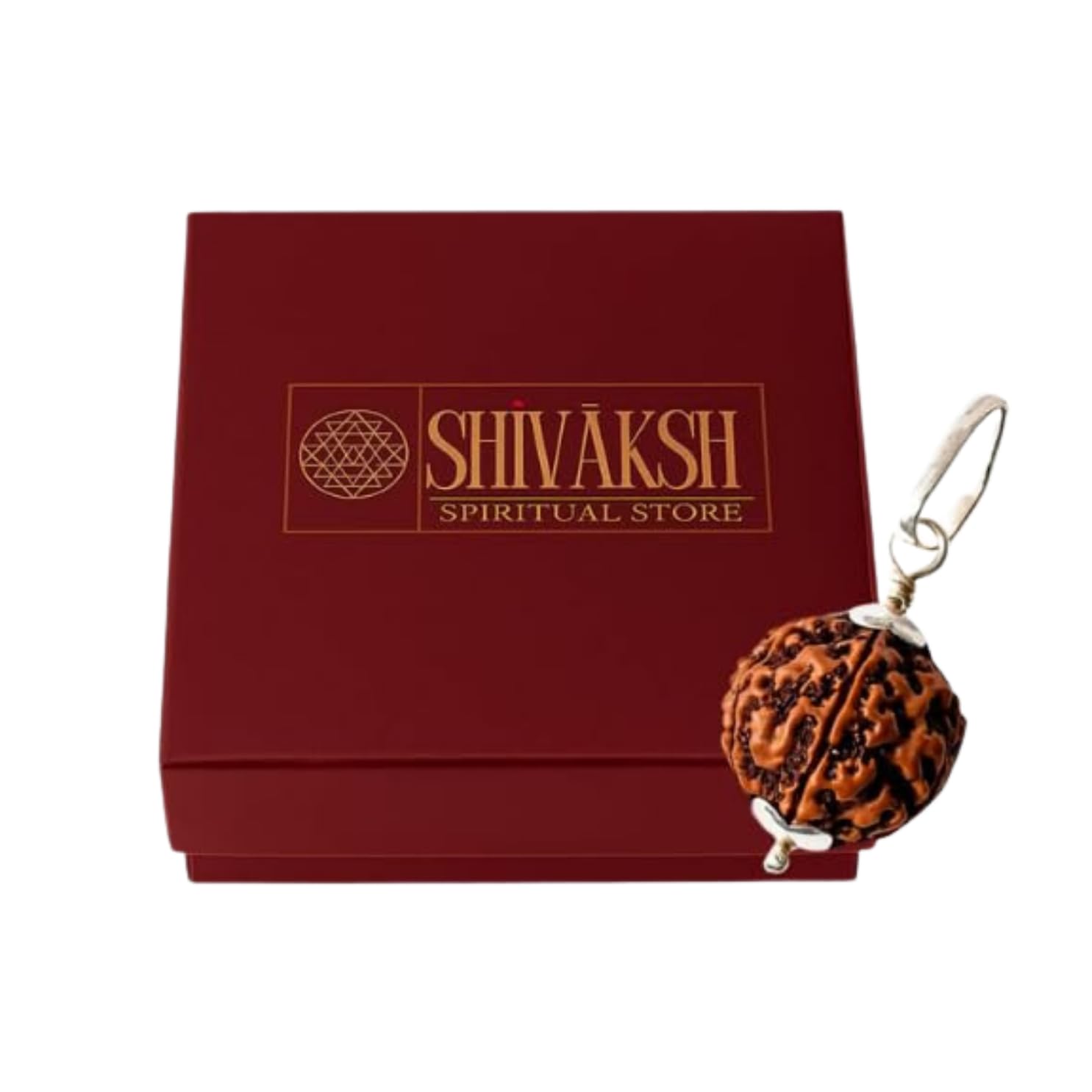 Shivaksh® Certified 6 Mukhi Rudraksha Pendant – Original Nepali Bead for Confidence, Charisma & Vitality | Energized & Lab-Certified Pendant for Taurus & Leaders | Unisex Daily Spiritual Jewelry