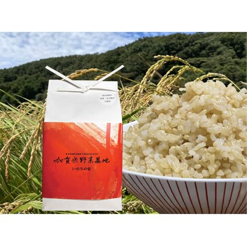 [定期便][3ヶ月定期便]お米番付優秀賞受賞 大粒で知られるお米『いのちの壱』玄米2kg×3回