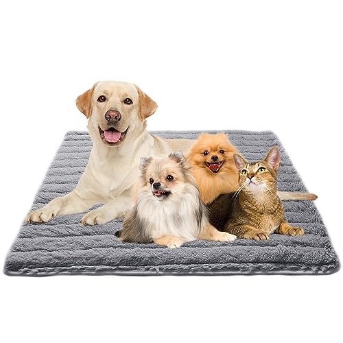 Find The Best Self Warming Dog Bed Reviews & Comparison Katynel