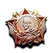 Military Medal Badge Order of Alexander Nevsky Soviet Russian USSR Medal Honor Badge, ww2 Russian Copy