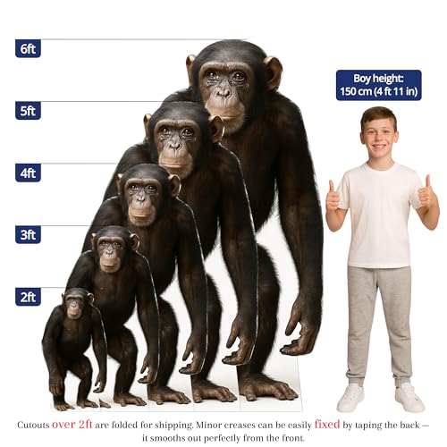 Image of Chimpanzee 4FT Life Size Cardboard Cutout - A Fun Animal Standup for Photo Booths, Birthday Parties, and Events