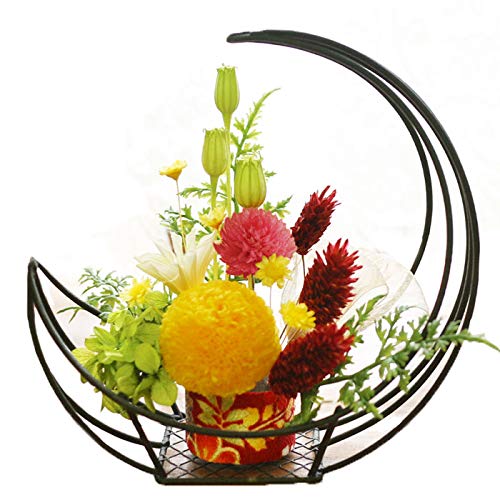 Amazon｜サウンドアレンジ 月明り (たんぽぽ月) プリザーブド