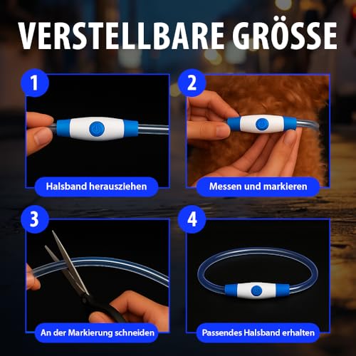 PetSol LED-Hundehalsband in Blau – wiederaufladbares USB-Sicherheitshalsband mit blinkendem Licht für Hunde, Katzen und Welpen – Größe S, M und L – modisches, im Dunkeln leuchtendes Design