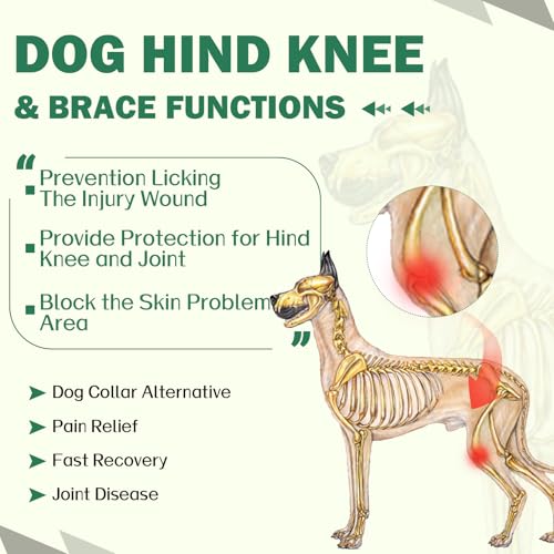 Image of ROZKITCH Dog Sleeve to Prevent Licking Back Leg Rear Legs, Pet Wound Elbow Protector, Dog Recovery Suit Cone Collar Alternative for Sprain ACL CCL Arthritis Joint Care Camouflage 2XL